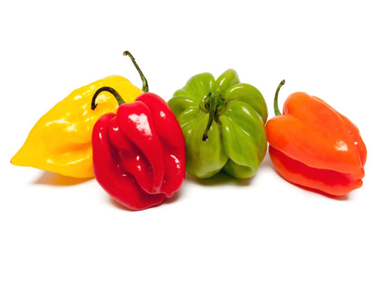 Piment Frais