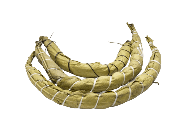 Bâton de Manioc